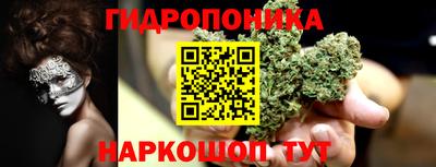 стафф Кимры